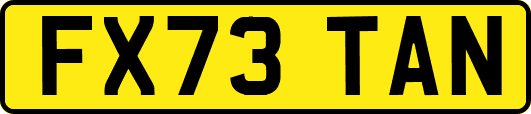 FX73TAN