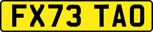 FX73TAO