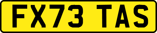 FX73TAS
