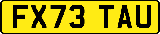 FX73TAU