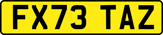 FX73TAZ