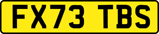 FX73TBS