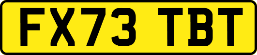 FX73TBT