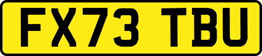 FX73TBU
