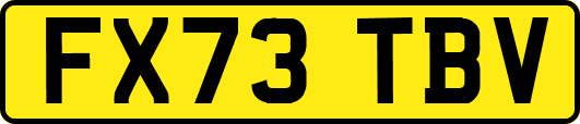 FX73TBV