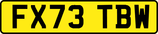 FX73TBW