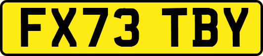 FX73TBY