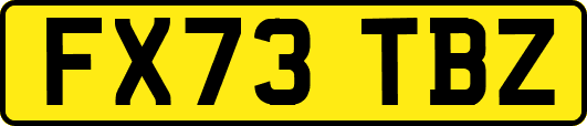 FX73TBZ