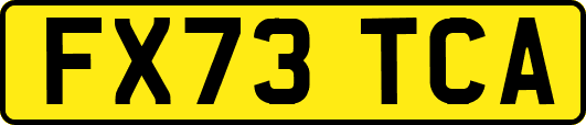 FX73TCA