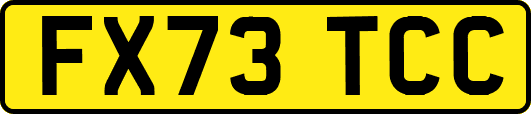 FX73TCC