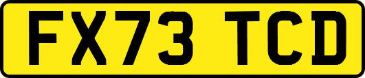 FX73TCD