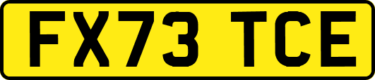 FX73TCE
