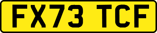 FX73TCF
