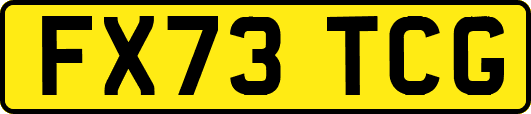 FX73TCG