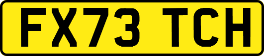 FX73TCH