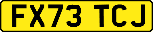FX73TCJ