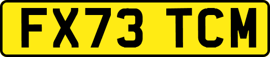 FX73TCM