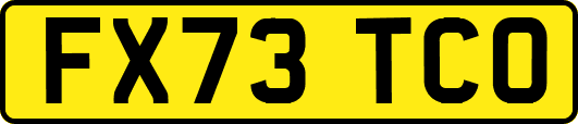 FX73TCO