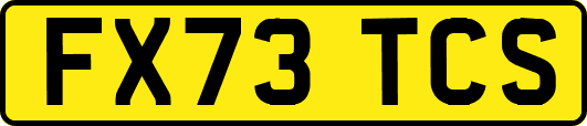 FX73TCS