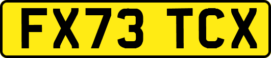 FX73TCX