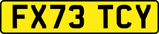 FX73TCY