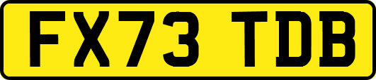 FX73TDB