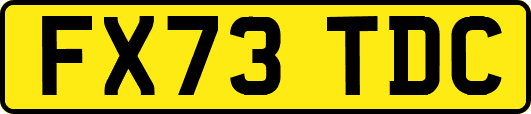 FX73TDC