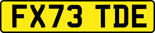 FX73TDE