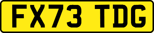 FX73TDG