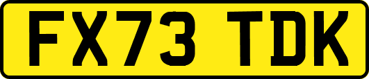 FX73TDK