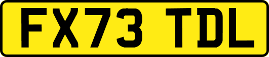 FX73TDL
