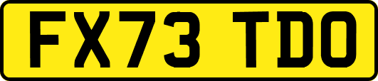 FX73TDO