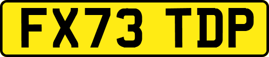 FX73TDP