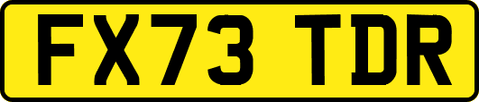 FX73TDR