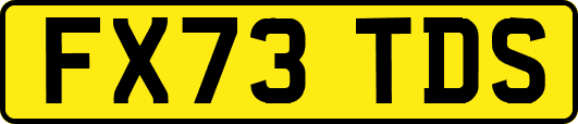 FX73TDS