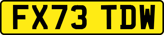 FX73TDW