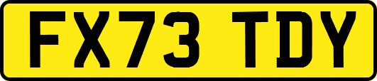 FX73TDY
