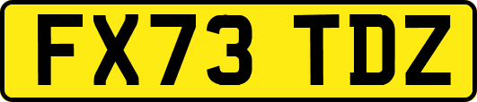 FX73TDZ