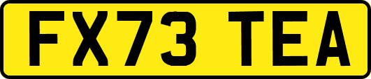FX73TEA