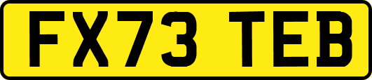 FX73TEB