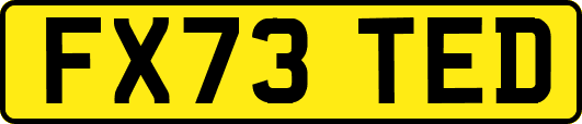 FX73TED