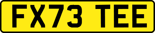 FX73TEE