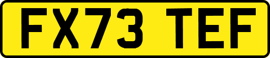 FX73TEF