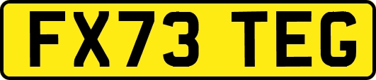 FX73TEG