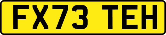 FX73TEH