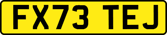 FX73TEJ