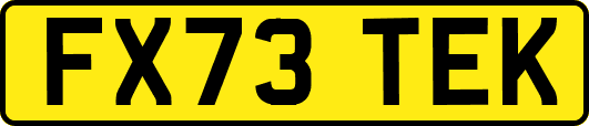 FX73TEK