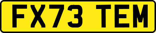 FX73TEM
