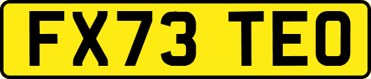 FX73TEO