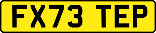 FX73TEP